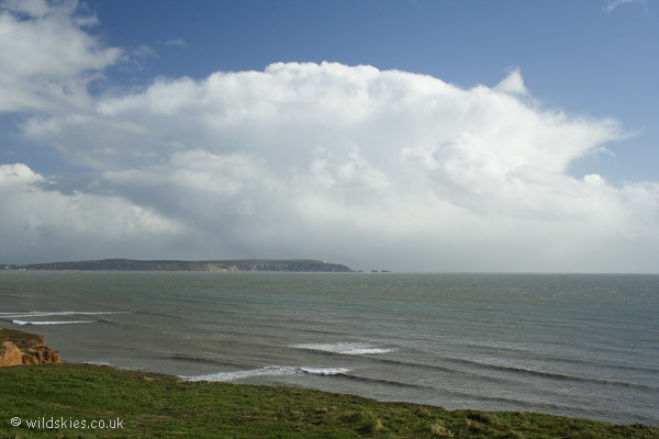 Isle of Wight cell