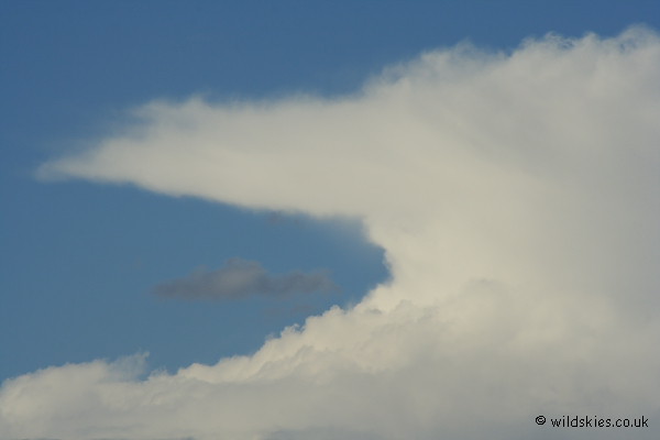 Anvil close-up