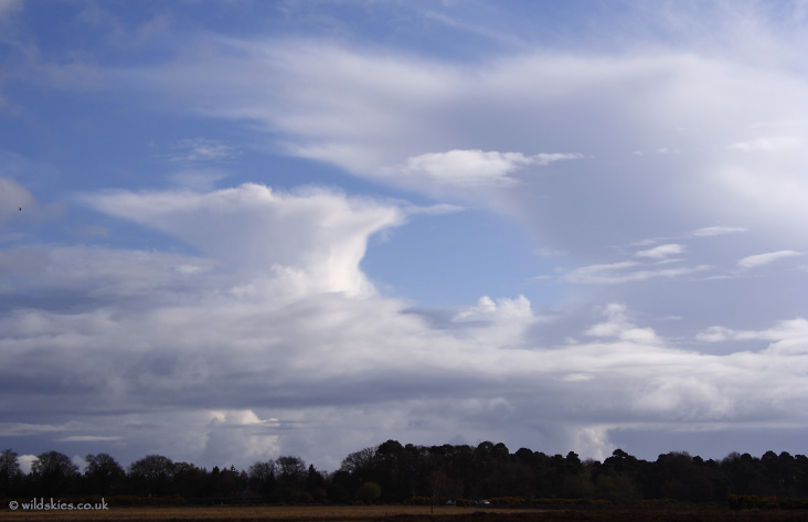 Distant showers